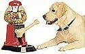 Yuppy Puppy Food and Treat Machine