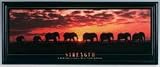 Stewart Superior Motivational Picture in Black Ash Frame W830xH330mm Strength Ref FGA121