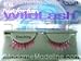 Ardell Wild Lash Shocking