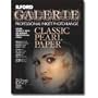 ILFORD Galerie Professional Inkjet 13X19-25 Sheet, Classic Pearl (198 0219)