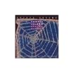 Spider Dreams