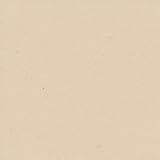 ADP Cardstock 8.5 x 11 - RECYCLED HUSK Single Sheet