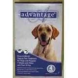 F.C.E. Inc Advantage Dog Blue 55+ lb 4 pack
