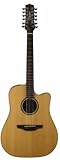 Takamine Pro Series ETN10C-12 Dreadnought 12 String Acoustic Electric Guitar, Antique Natural with Case