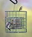 Duncraft Suet Selective Feeder