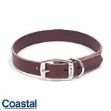 Coastal Pet Products Latigo Leather Town Collar for Dogs