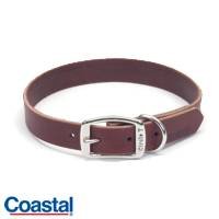 Coastal Pet Products Latigo Leather Town Collar for Dogs