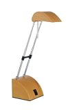 All Products : Mini Desk Lamp