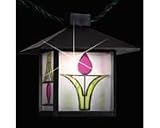 Fun Light Prairie Lantern Lights