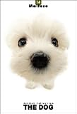 THE DOG Artlist - Maltese - Hand Book - 6 Postcards