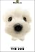   - THE DOG Artlist - Maltese - Hand Book - 6 Postcards