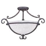 Ceiling Fixtures Sea Gull Lighting 7541