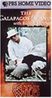 In the Wild - The Galapagos Islands with Richard Dreyfuss [VHS]