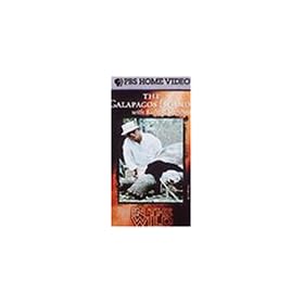 In the Wild - The Galapagos Islands with Richard Dreyfuss [VHS]