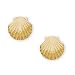 14K Yellow Gold Children's Shell Pierced Earrings (Pair)