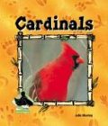 Cardinals (Animal Kingdom)