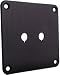 Dayton SBPP-BK Binding Post Plate Black Anodized