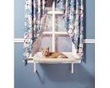 Catnapper