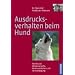 Hundeverhalten