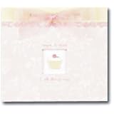 CR Gibson - Sugar and Spice - Deluxe Brag Book by CR Gibson
