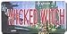 Wizard of Oz License Plate WICKED WITCH Image