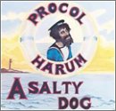 A Salty Dog