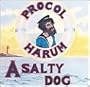 Salty Dog