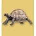 Papo: Tortoise