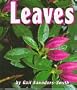 Leaves (Pebble Books)