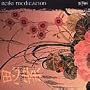 Reiki Meditation
