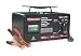 WESTWARD 1JYU6 Battery Charger, 6/12V (M), 100 A Start