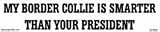 My border collie is smarter than your president bumper sticker