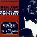 Review Big Joe Williams  / Back to the Country