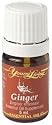 Young Living Essential Oil Ginger 5 Ml