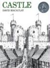 Houghton Mifflin Castle