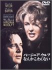 �С����˥�������դʤ󤫤��勞�ʤ� [DVD]