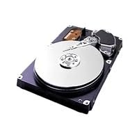 Samsung SpinPoint P80 SP1604N - Hard drive - 160 GB - internal - 3.5 - ATA-133 - 7200 rpm... by Samsung