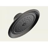 Delta Faucet Touch Clean Raincan Showerhead RP48686PT