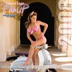 Camouflage Pin Up 2008 Wall Calendar