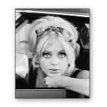 Goldie Hawn: A Lotus Grows In The Mud book cover