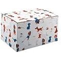 �~�g�� �Ȃ��悵BOX [DVD]