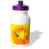 Jerry Funk Photo Artisan Flowers - Decorative colorful garden botanic classic plant SW Southwest Desert cactus yellow gold bee flower - Water Bottles