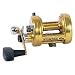 Sporting Goods : International 975LD Premium Baitcasting Reel