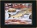 Lady Clare Traditional Continental Placemats Game Fish