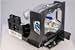 Compatible Toshiba Tlp t400 Tlp lw1 Compatible Projector Lam