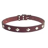 Circle T Diamond Stud Leather Collar- 1