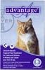 Advantage Once-A-Month Topical Flea Treatment for Cats & Kittens Over 9 Pounds, 6 Pack