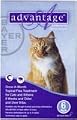Advantage Once-A-Month Topical Flea Treatment for Cats & Kittens Over 9 Pounds   (6 Applications)