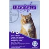 Advantage Once-A-Month Topical Flea Treatment for Cats & Kittens Over 9 Pounds (6 Applications)