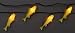 River's Edge® Walleye Light Set
